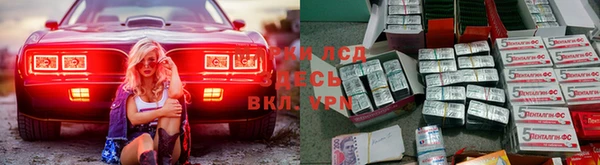 сатива Абинск