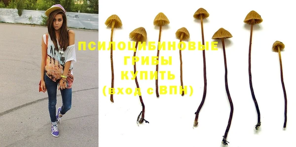сатива Абинск