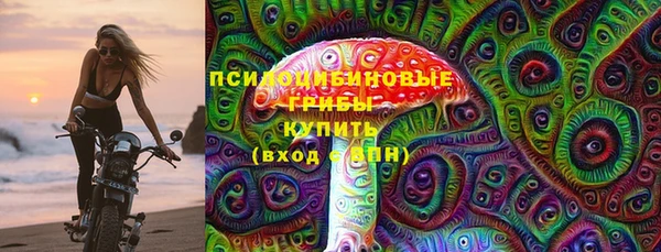 сатива Абинск