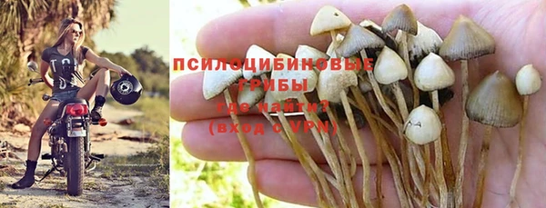 сатива Абинск