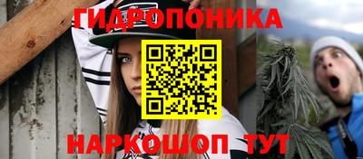 спиды Свободный