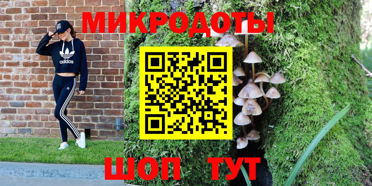 Псилоцибиновые грибы прущие грибы Оренбург