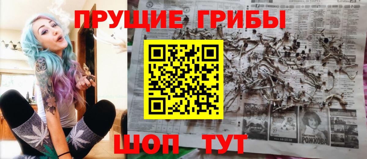 наркошоп  Вход с VPN  Оренбург  Псилоцибиновые грибы Magic Shrooms 